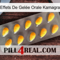 Effets De Gelée Orale Kamagra cialis1